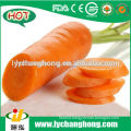 2015 new crop Yellow fresh carrot